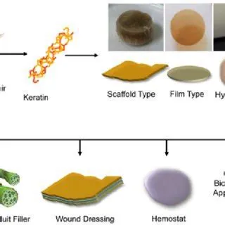  Keratin: Ein Naturwunder für innovative Biomedizinische Anwendungen!