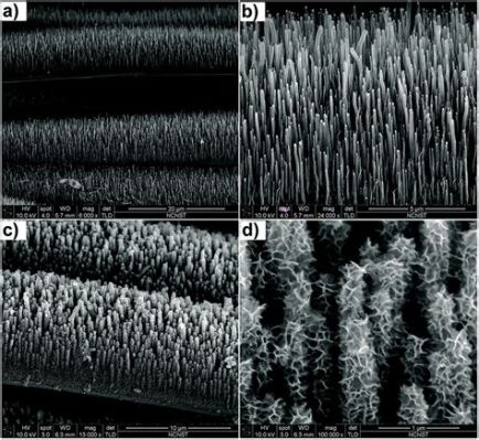  Vertically Aligned Carbon Nanotubes: Ein Wundermaterial für Hochleistungskondensatoren?